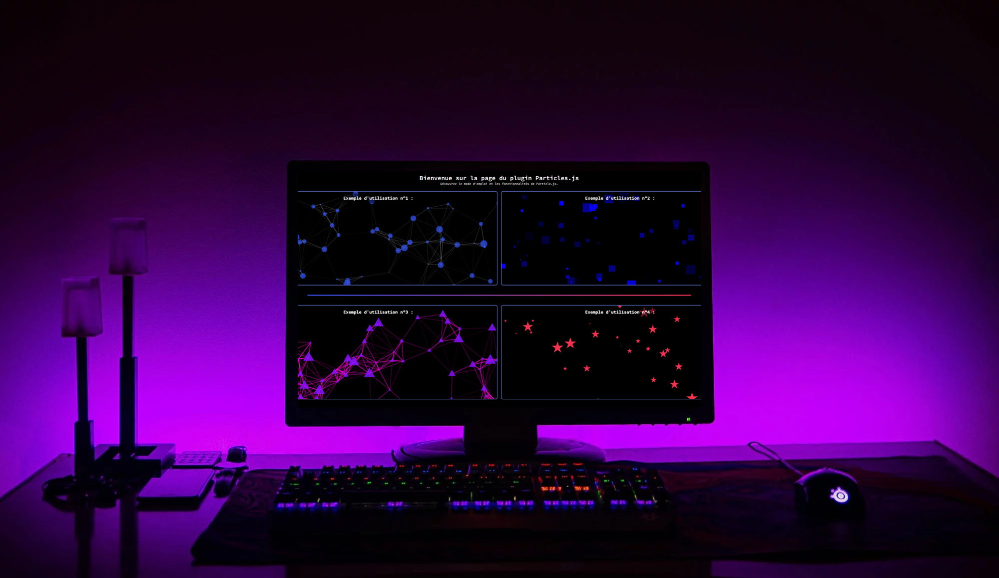 Image du projet